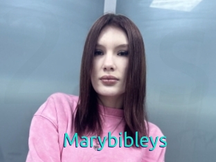 Marybibleys