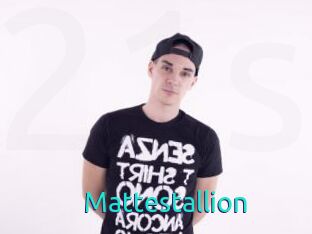 Mattestallion