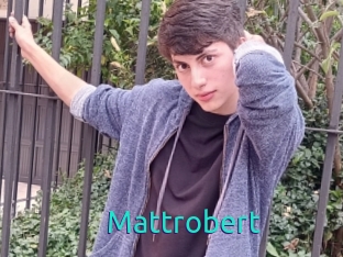 Mattrobert