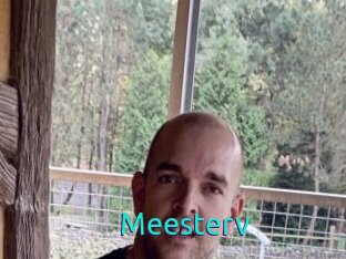 Meesterv