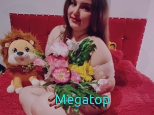 Megatop