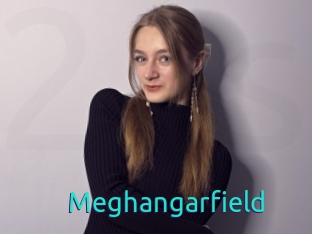 Meghangarfield