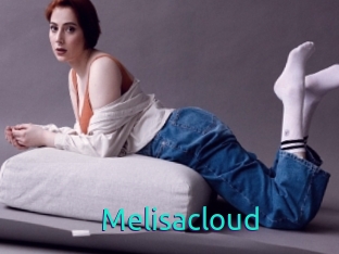 Melisacloud