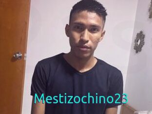 Mestizochino23