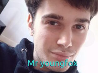 Mr_youngfox