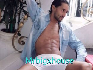 Mrbigxhouse