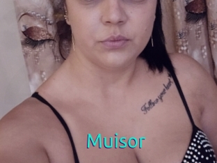 Muisor