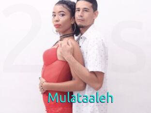 Mulataaleh