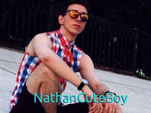 NathanCuteBoy 21 sextury Link