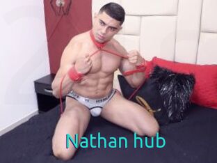 Nathan_hub