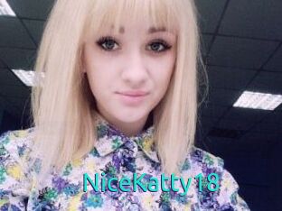 NiceKatty18