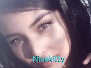 Nicekitty