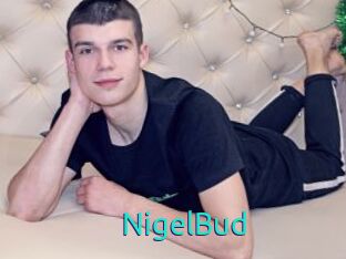 NigelBud