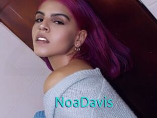 NoaDavis