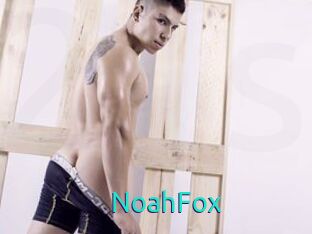 NoahFox