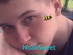 NoahSweet