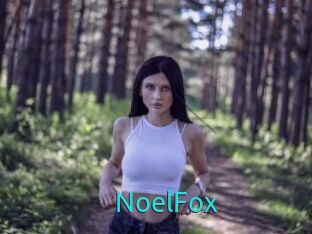 NoelFox