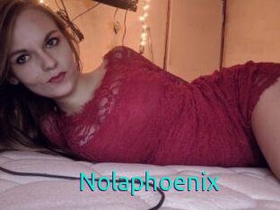 Nolaphoenix