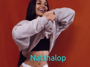 Natthalop