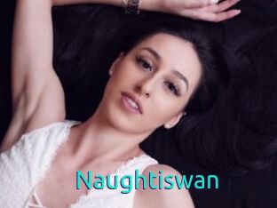 Naughtiswan