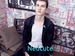 Nedcute