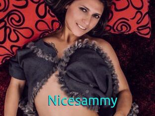 Nicesammy