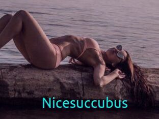 Nicesuccubus