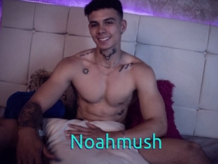 Noahmush