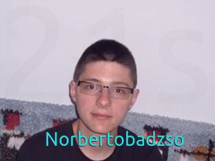 Norbertobadzso