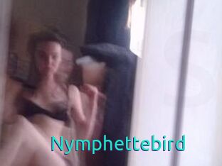 Nymphettebird