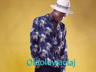 Olaoluwaolaj