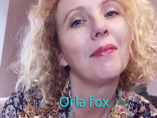 Orla_fox