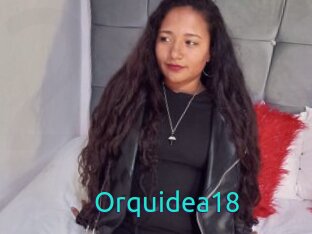 Orquidea18