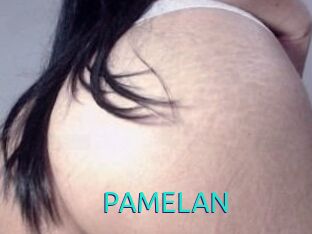 PAMELA_N