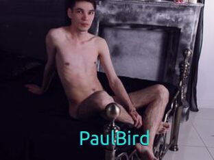 PaulBird