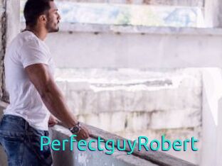 PerfectguyRobert
