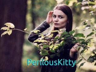 Perilous_Kitty