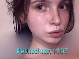 Pettitekitty1107