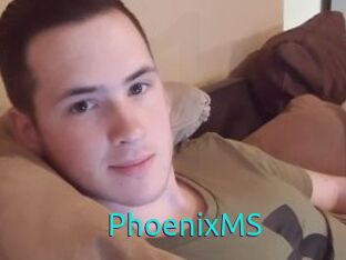 PhoenixMS