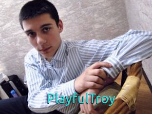 PlayfulTroy