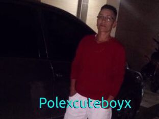 Polexcuteboyx