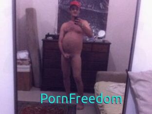 PornFreedom