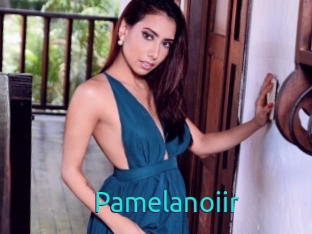 Pamelanoiir