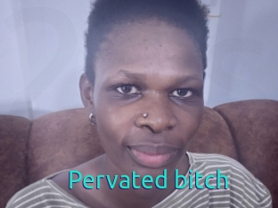 Pervated_bitch