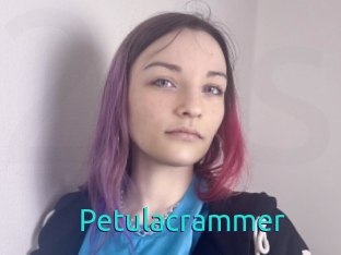 Petulacrammer