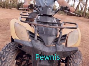 Pewnis