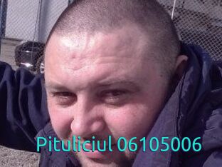 Pituliciul-06105006