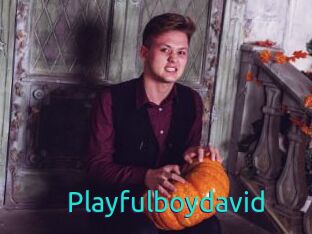 Playfulboydavid