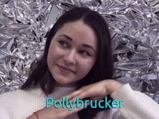 Pollybrucker