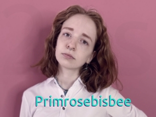 Primrosebisbee